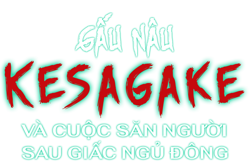 Gấu nâu Kesagake và cuộc săn người sau giấc ngủ đông